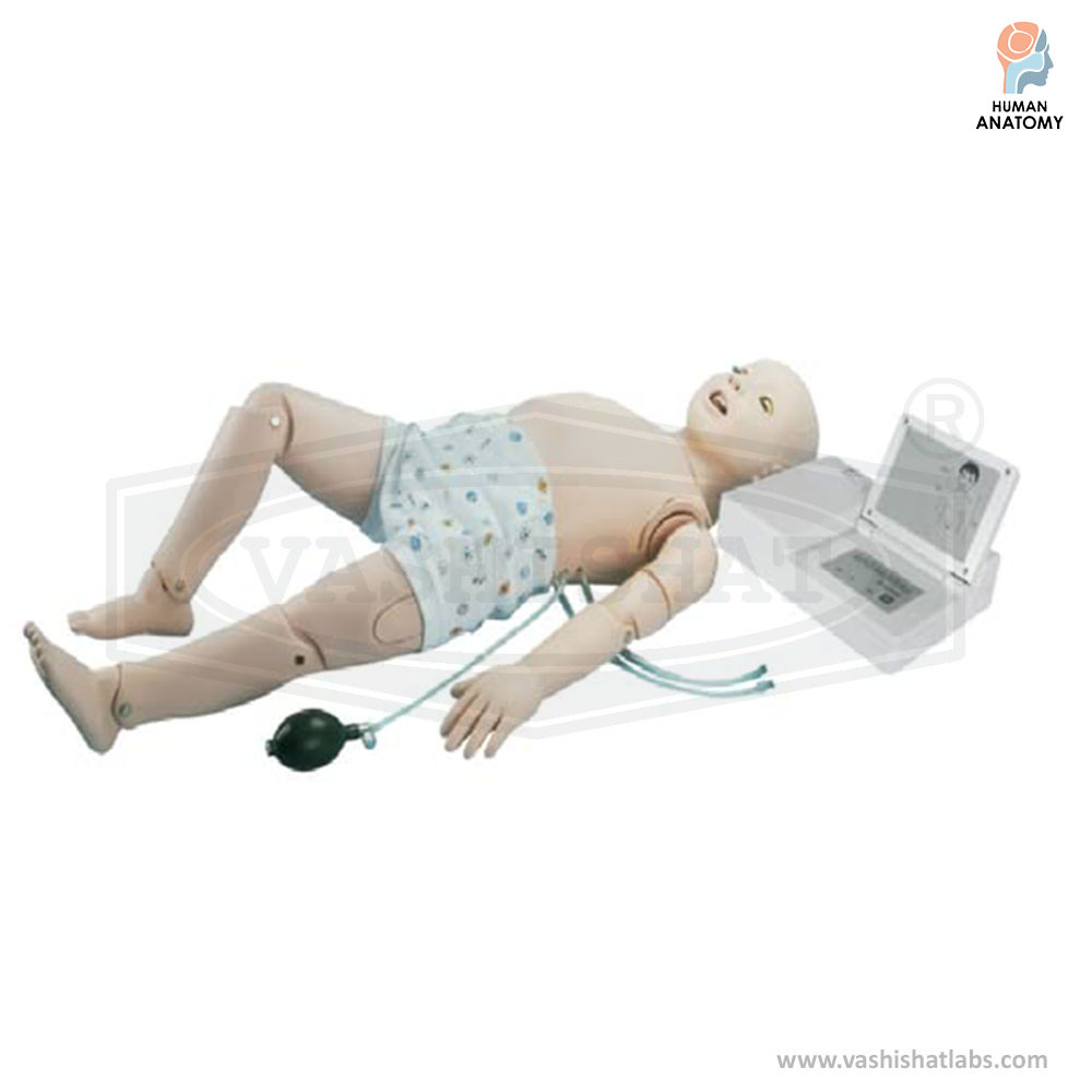 Child CPR Training Manikin